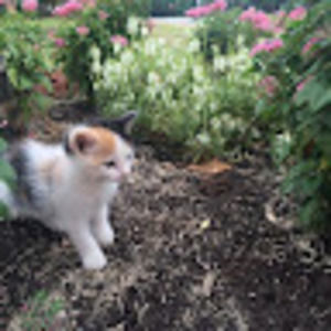 Meet your Posher, Gabriele